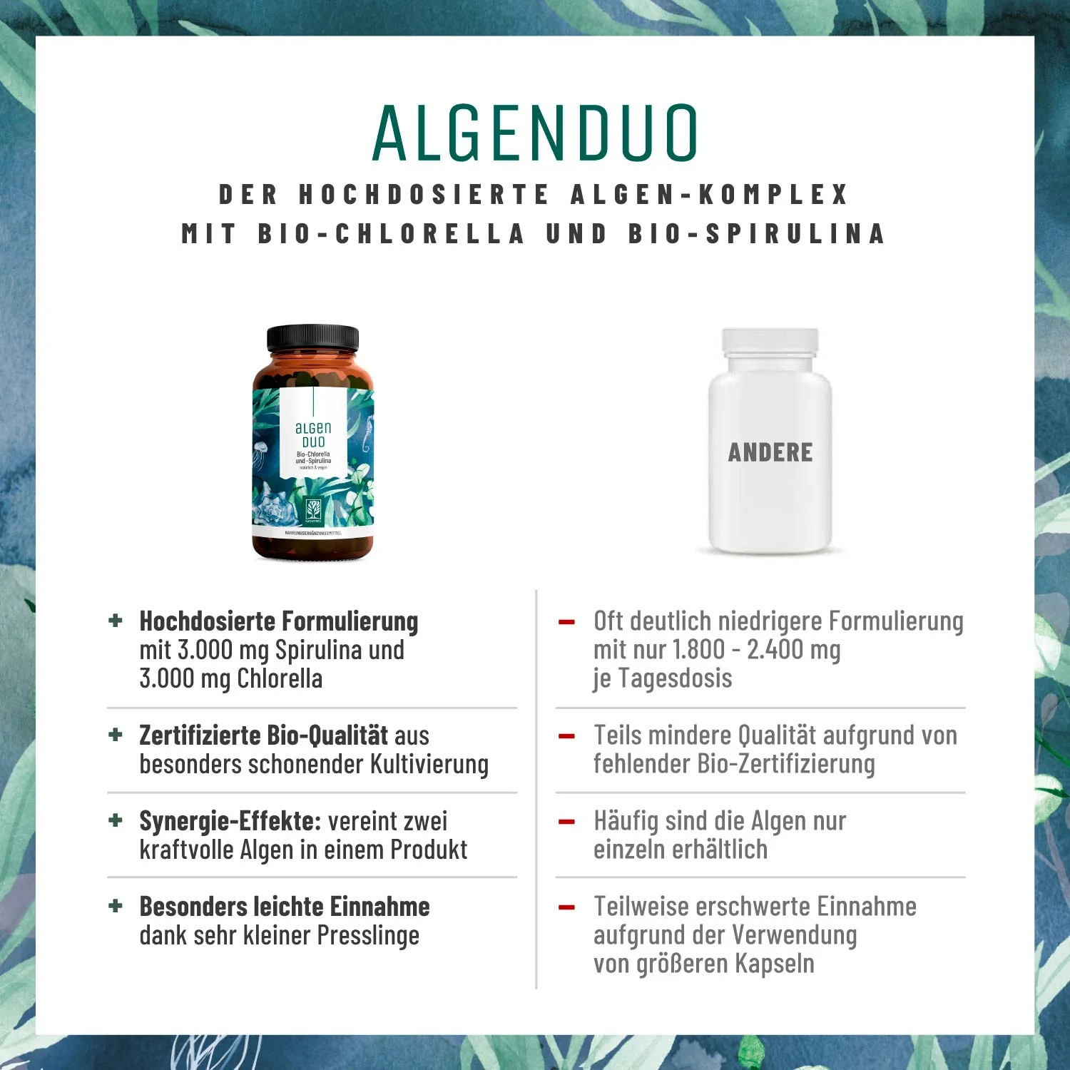 Algenduo: Bio-Chlorella und Bio-Spirulina - Image 5