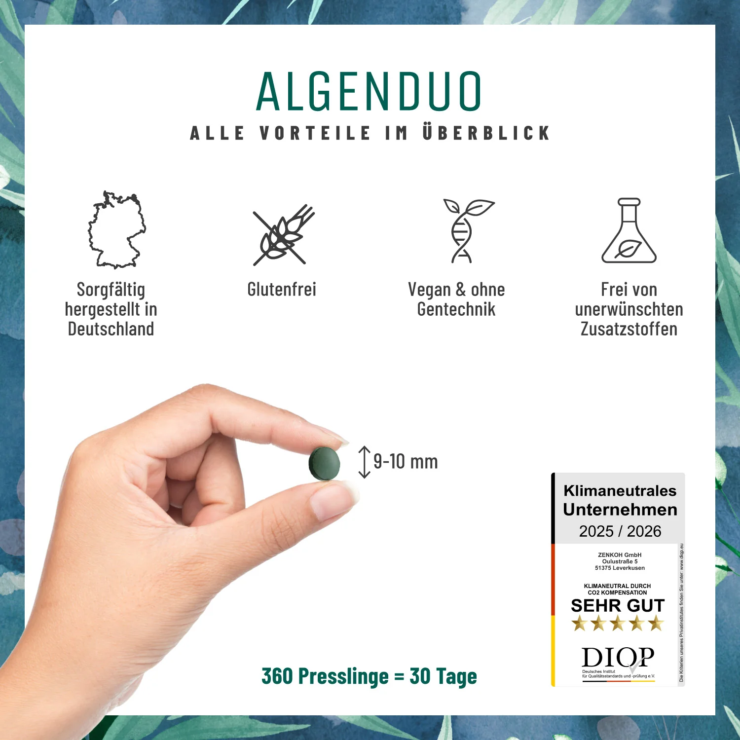 Algenduo: Bio-Chlorella und Bio-Spirulina - Image 6