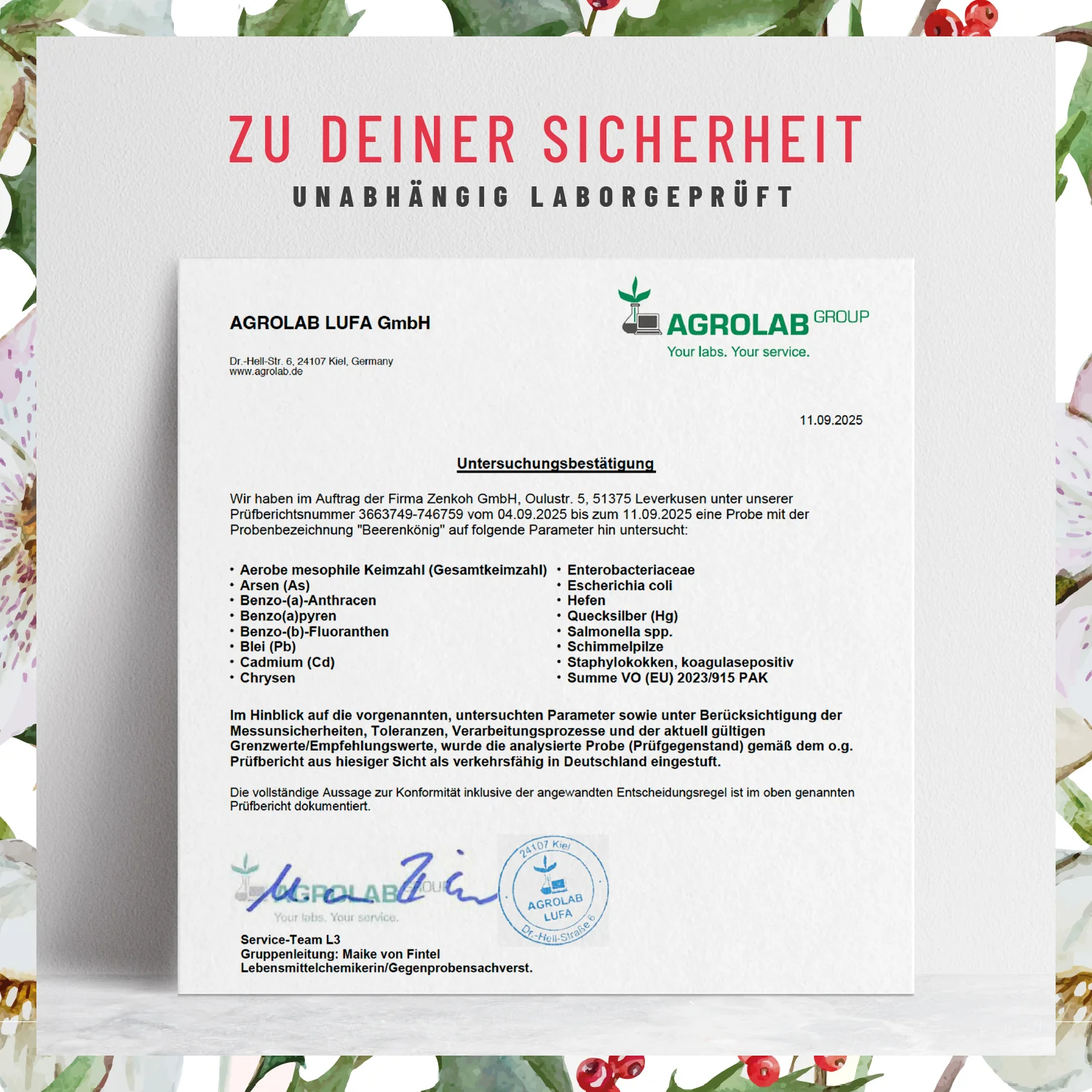 Beerenkönig: Vitamin C-Komplex - Image 7