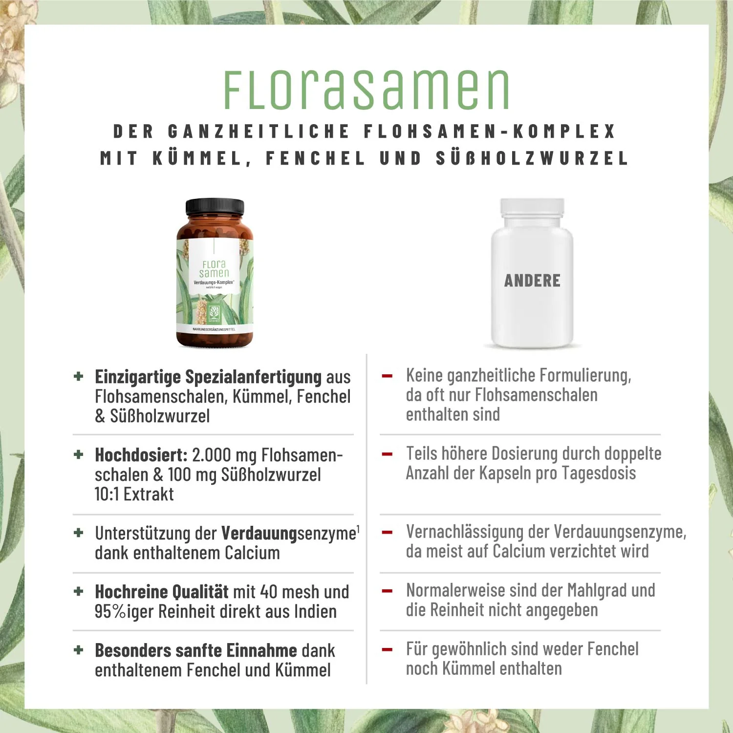 Florasamen: Verdauungs-Komplex* - Image 5