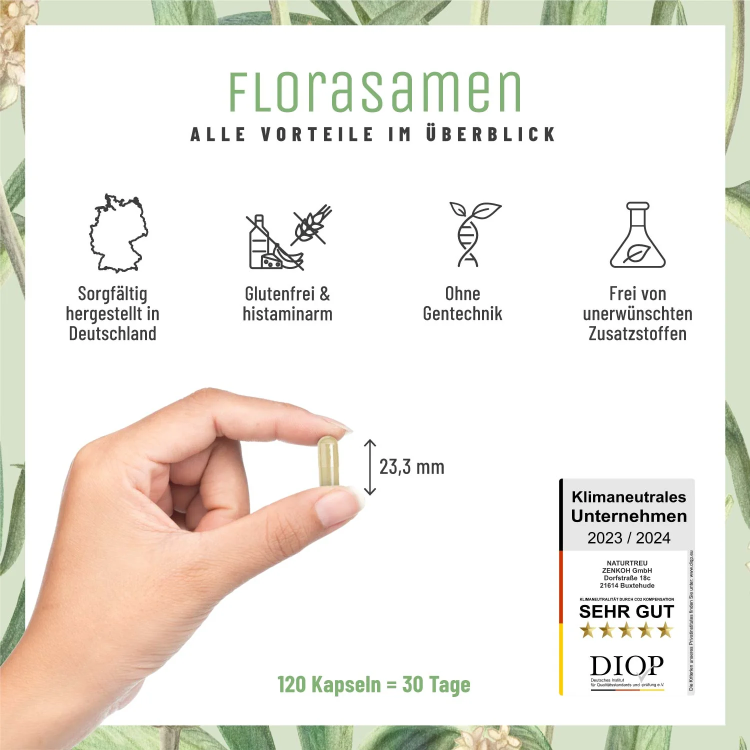 Florasamen: Verdauungs-Komplex* - Image 7