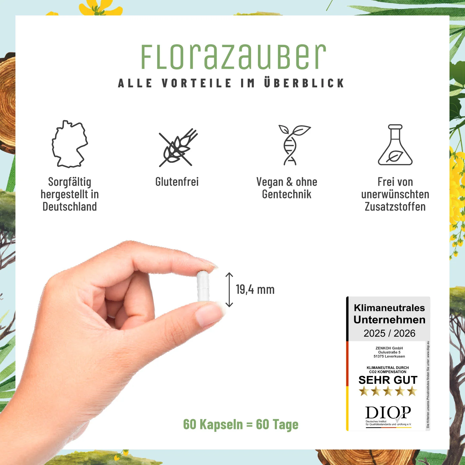 Florazauber: Kulturen-Komplex für den Darm* - Image 7