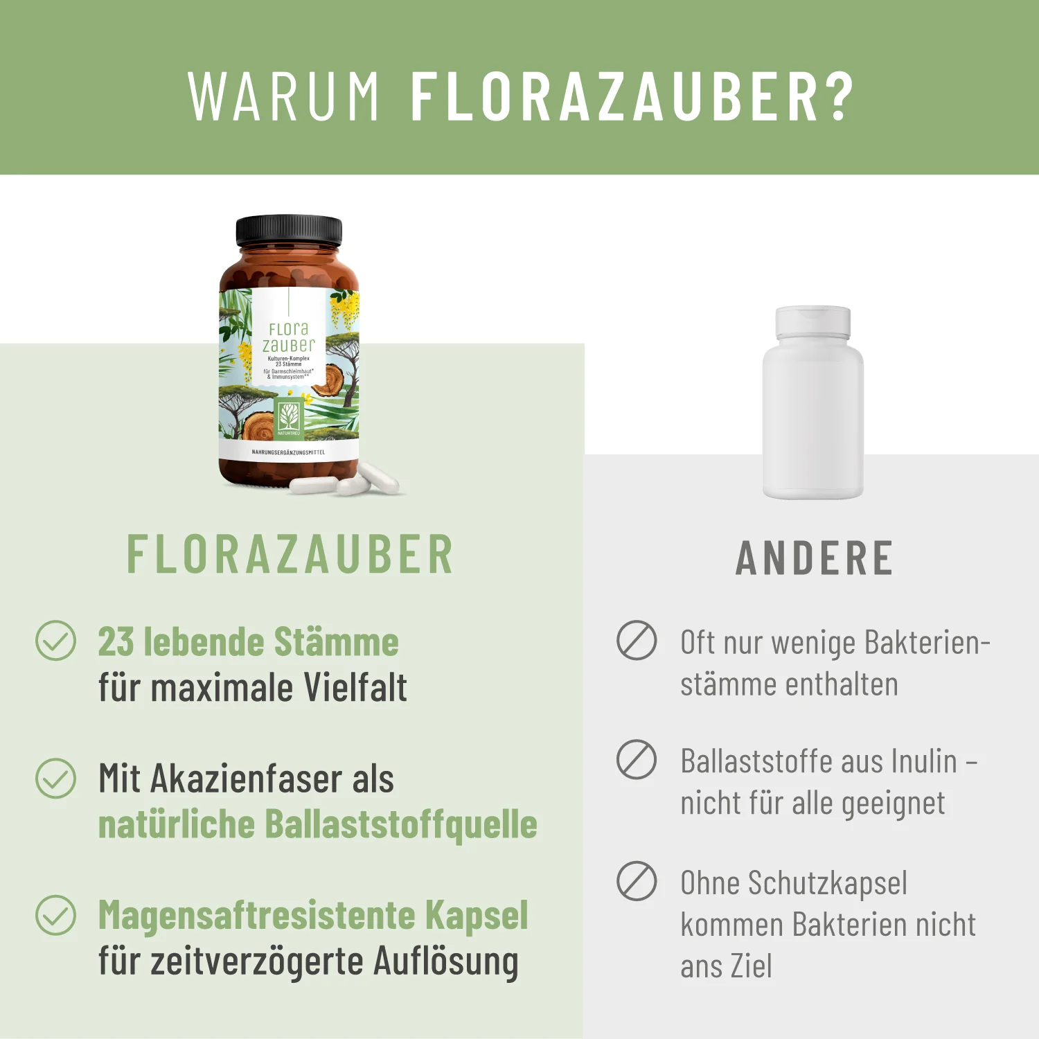 Florazauber: Kulturen-Komplex für den Darm* - Image 5