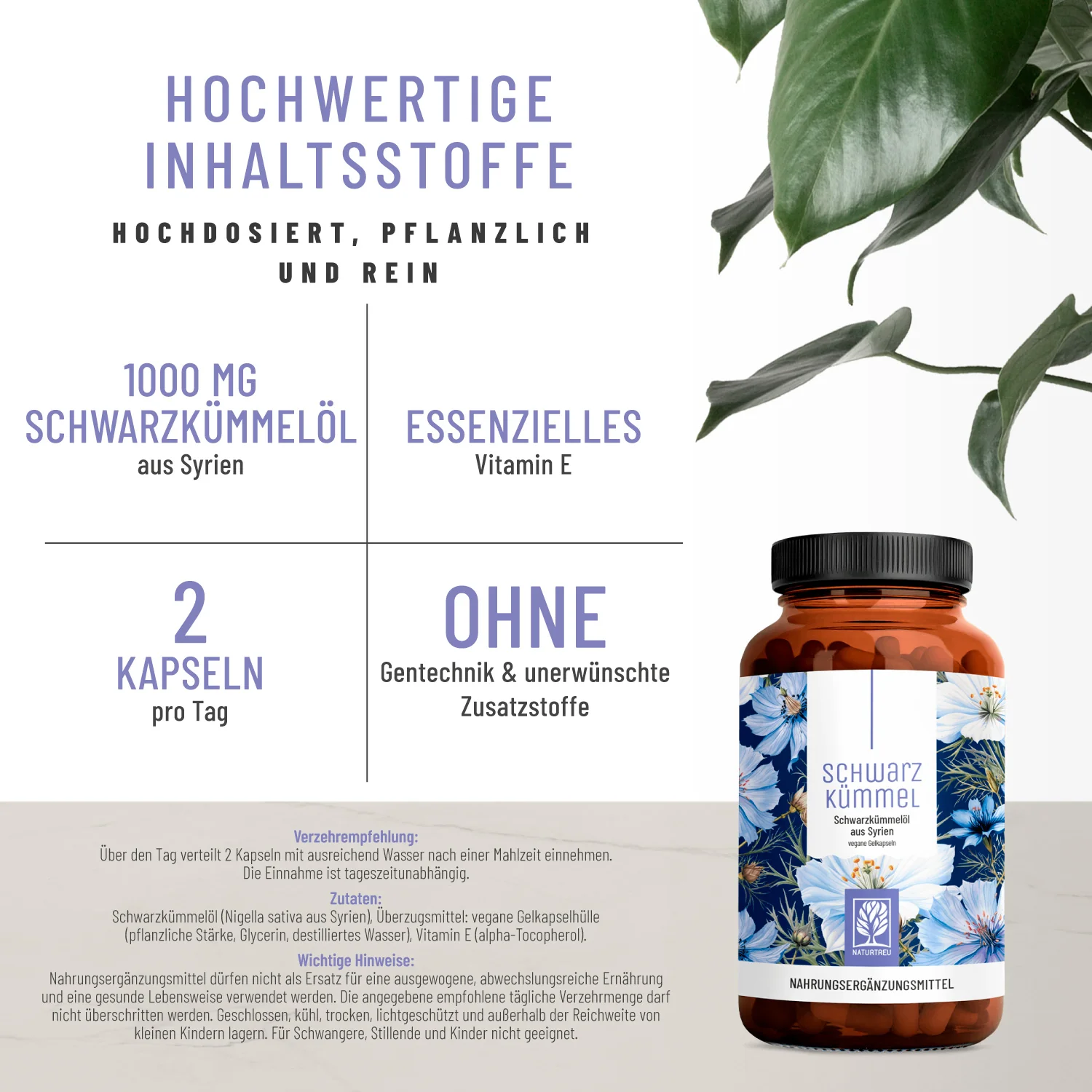 Frühlingsbegleiter Paket: Schwarzkümmelöl & Quercetin-Komplex - Image 3