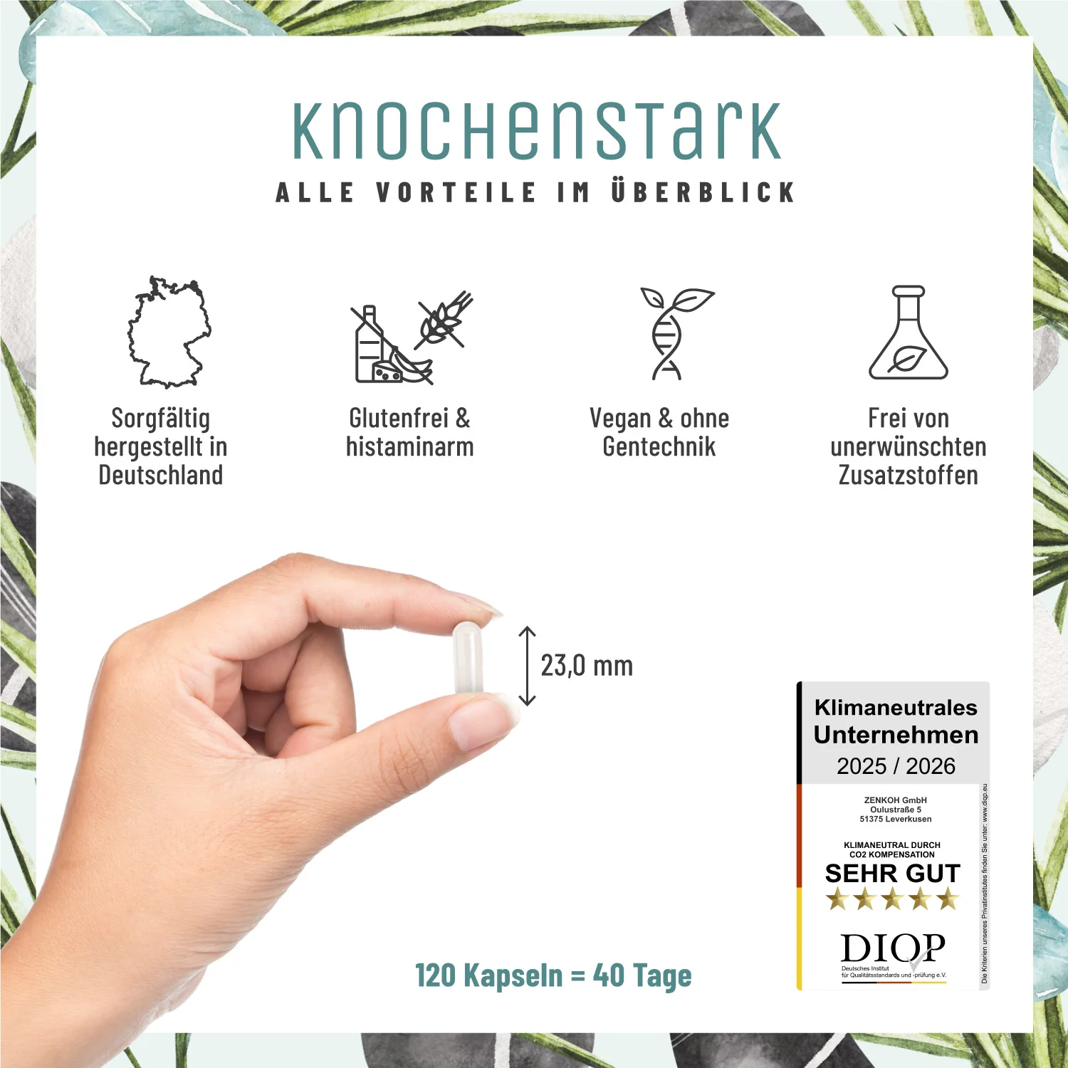 Knochenstark: Calcium Kapseln mit Vitamin C - Image 9