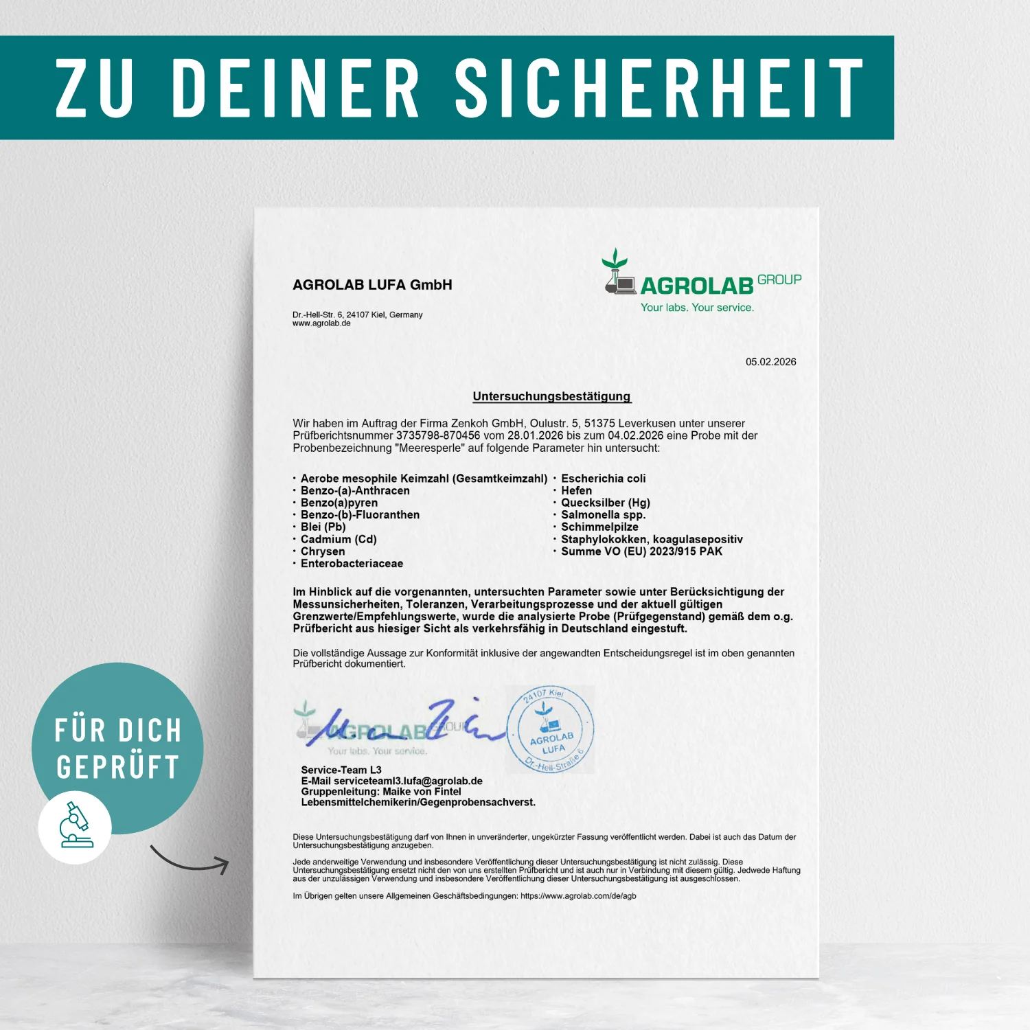 Meeresperle: Irish Sea Moss - Image 10