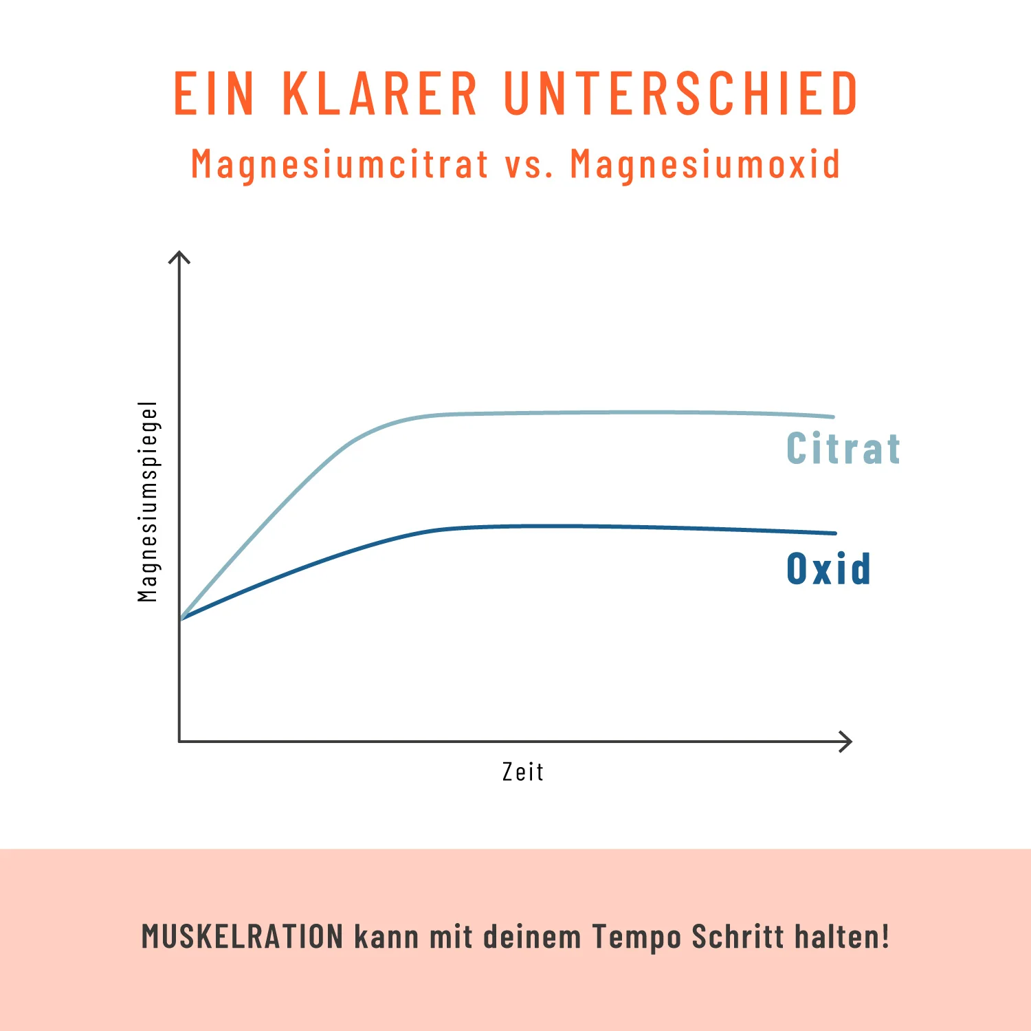 Muskelration: Magnesiumcitrat & L-Glutamin - Image 6