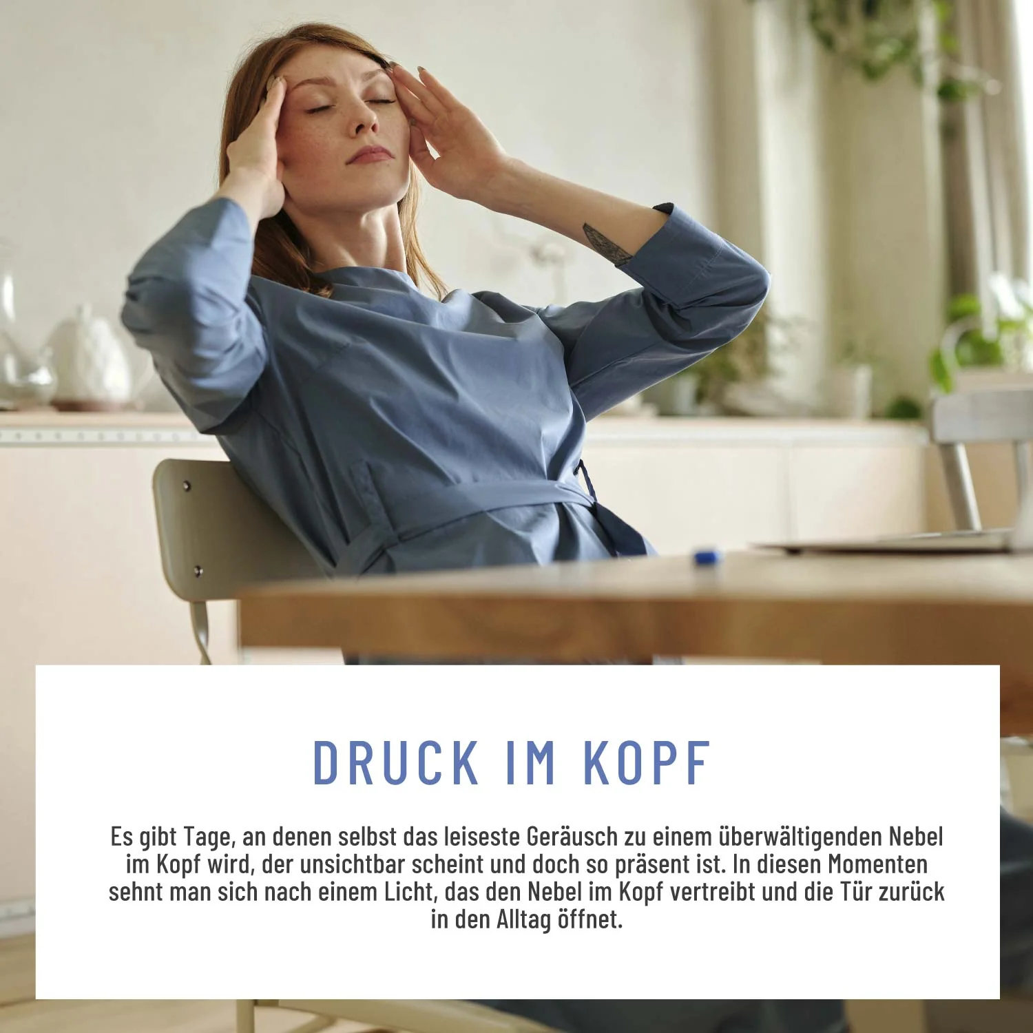 Nebellicht: Mutterkraut Kapseln mit Magnesium, Ingwer & Q10 - Image 6