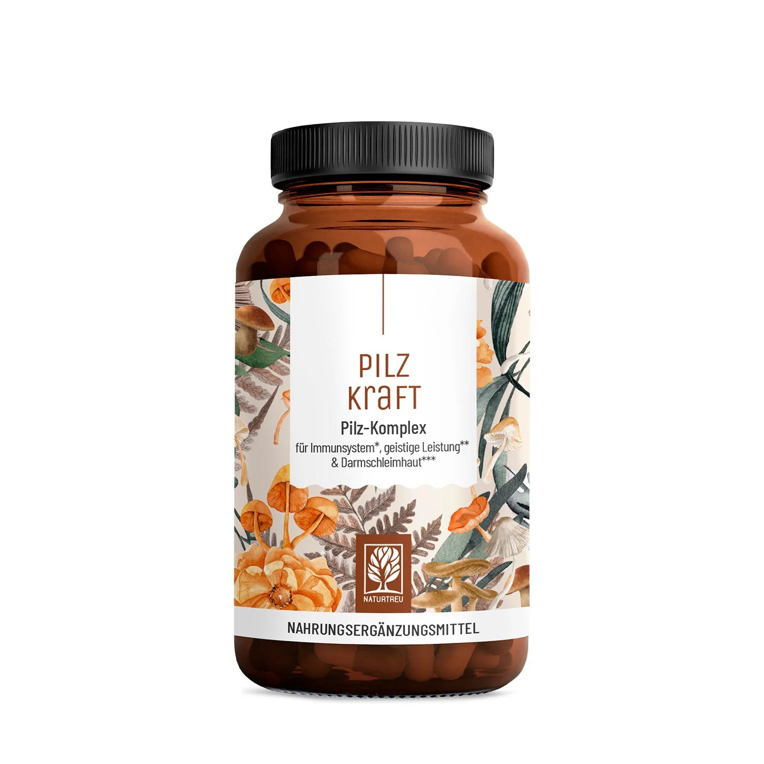 Pilzkraft: Reishi, Shiitake, Chaga & Löwenmähne  - Image 11