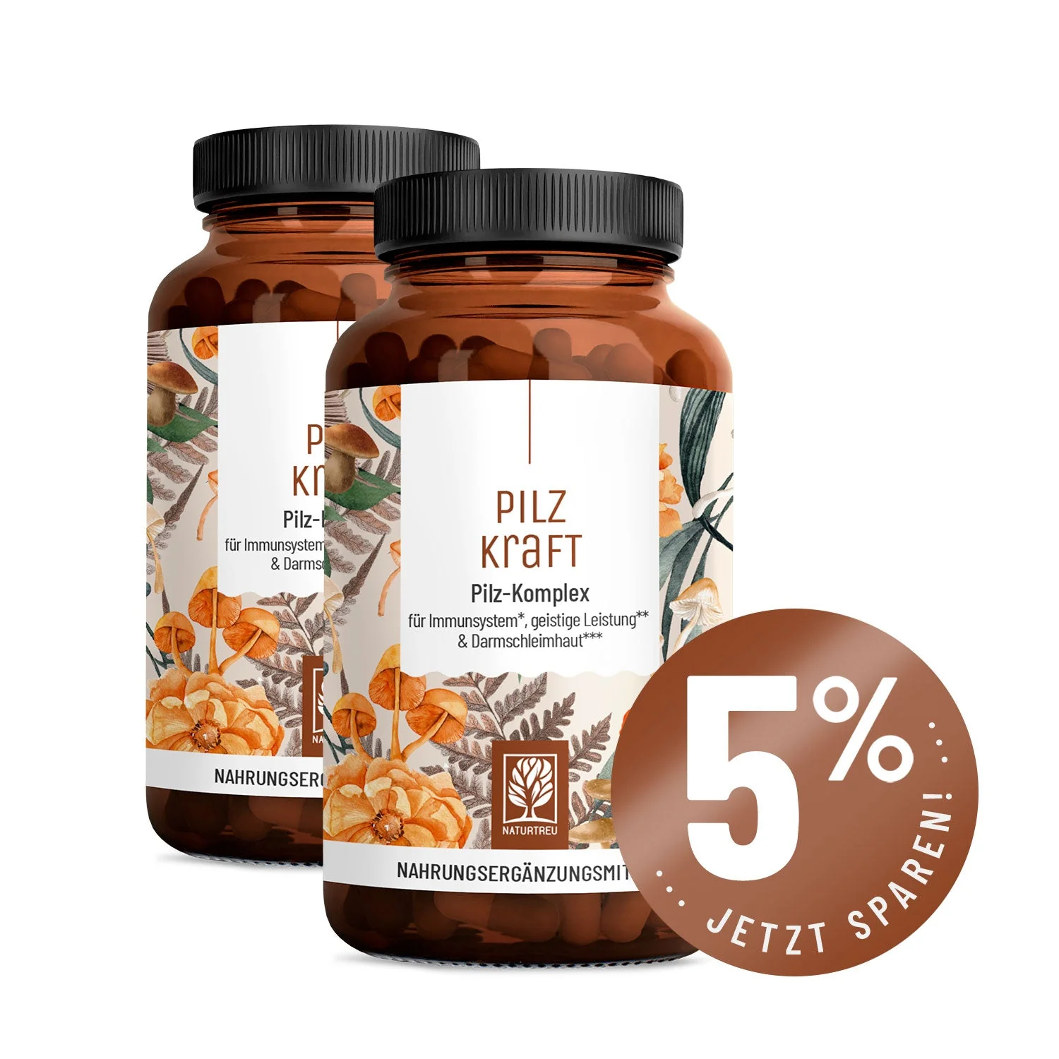 Pilzkraft: Reishi, Shiitake, Chaga & Löwenmähne  - Image 12