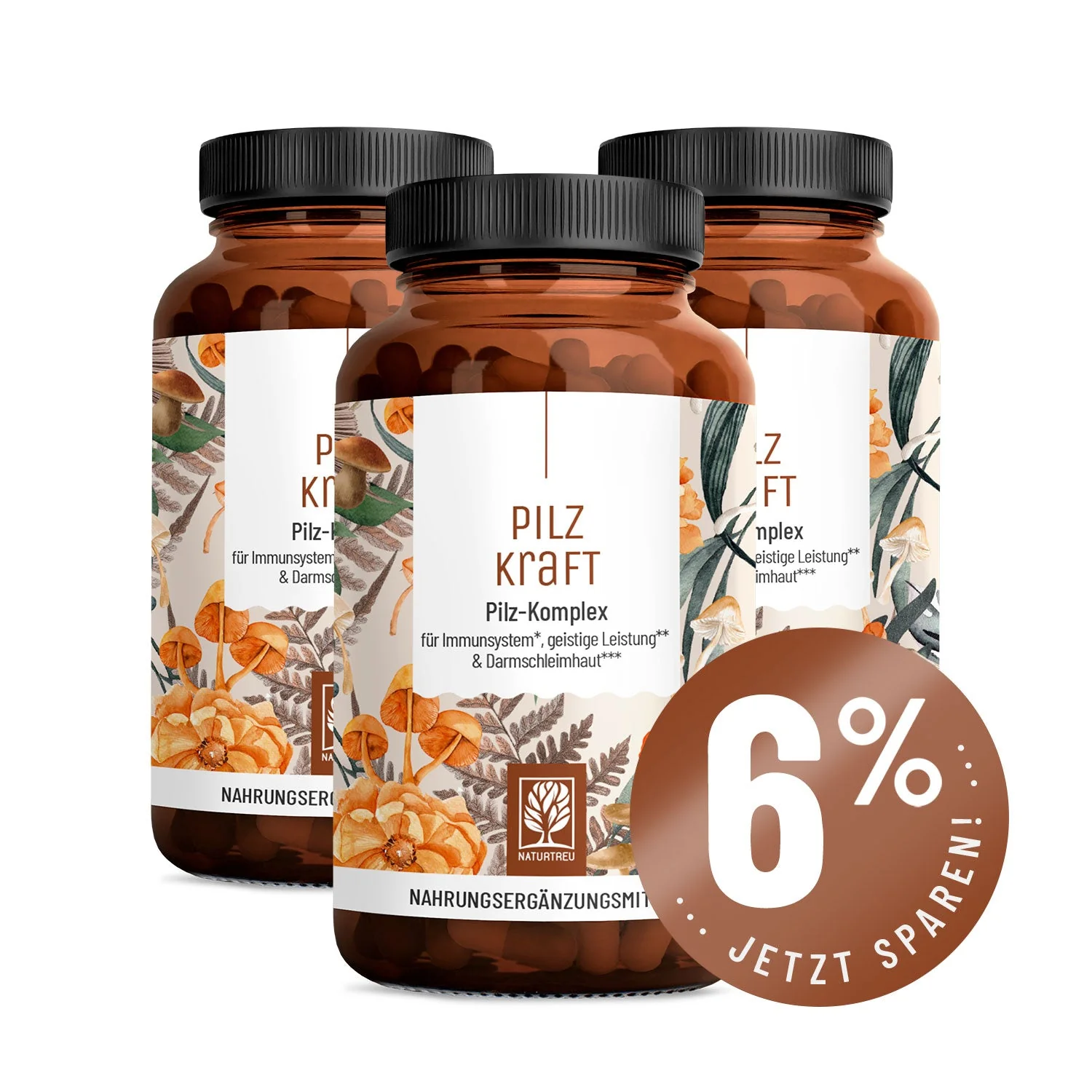 Pilzkraft: Reishi, Shiitake, Chaga & Löwenmähne  - Image 13