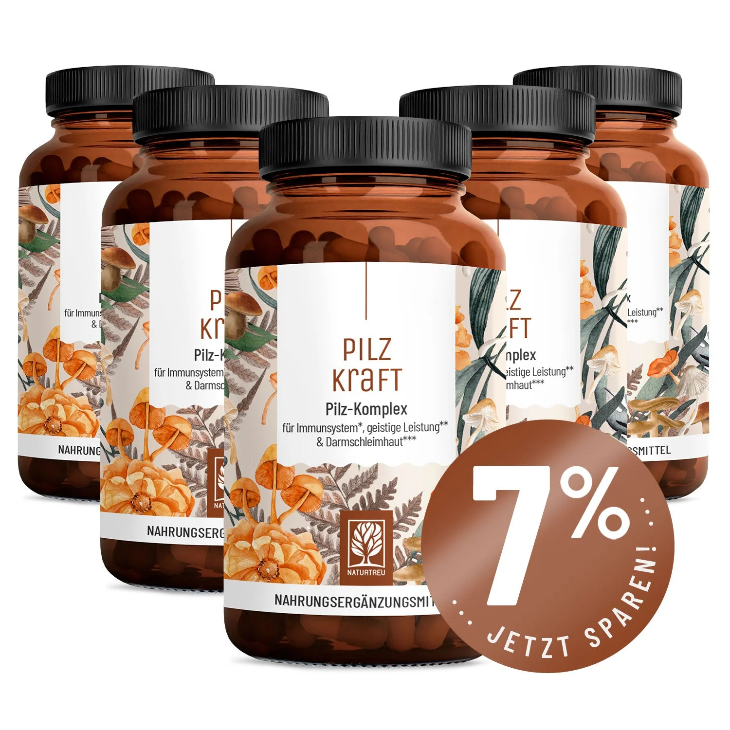 Pilzkraft: Reishi, Shiitake, Chaga & Löwenmähne  - Image 14