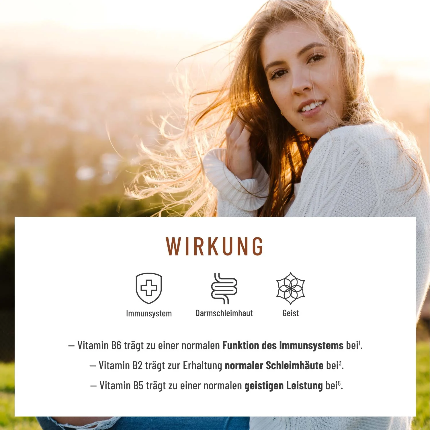 Pilzkraft: Reishi, Shiitake, Chaga & Löwenmähne  - Image 4