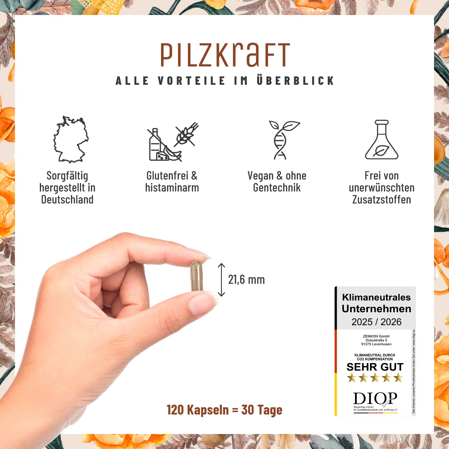 Pilzkraft: Reishi, Shiitake, Chaga & Löwenmähne  - Image 7