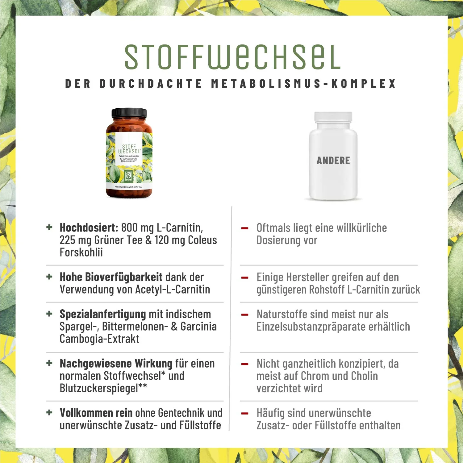 Fettstoffwechsel* Paket - Image 5