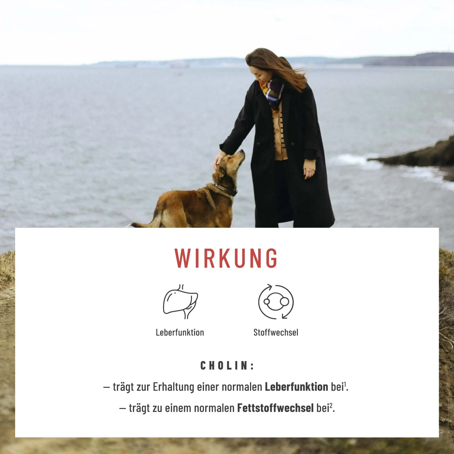 Rubinkorn - Roter Reis natürlich - Image 4