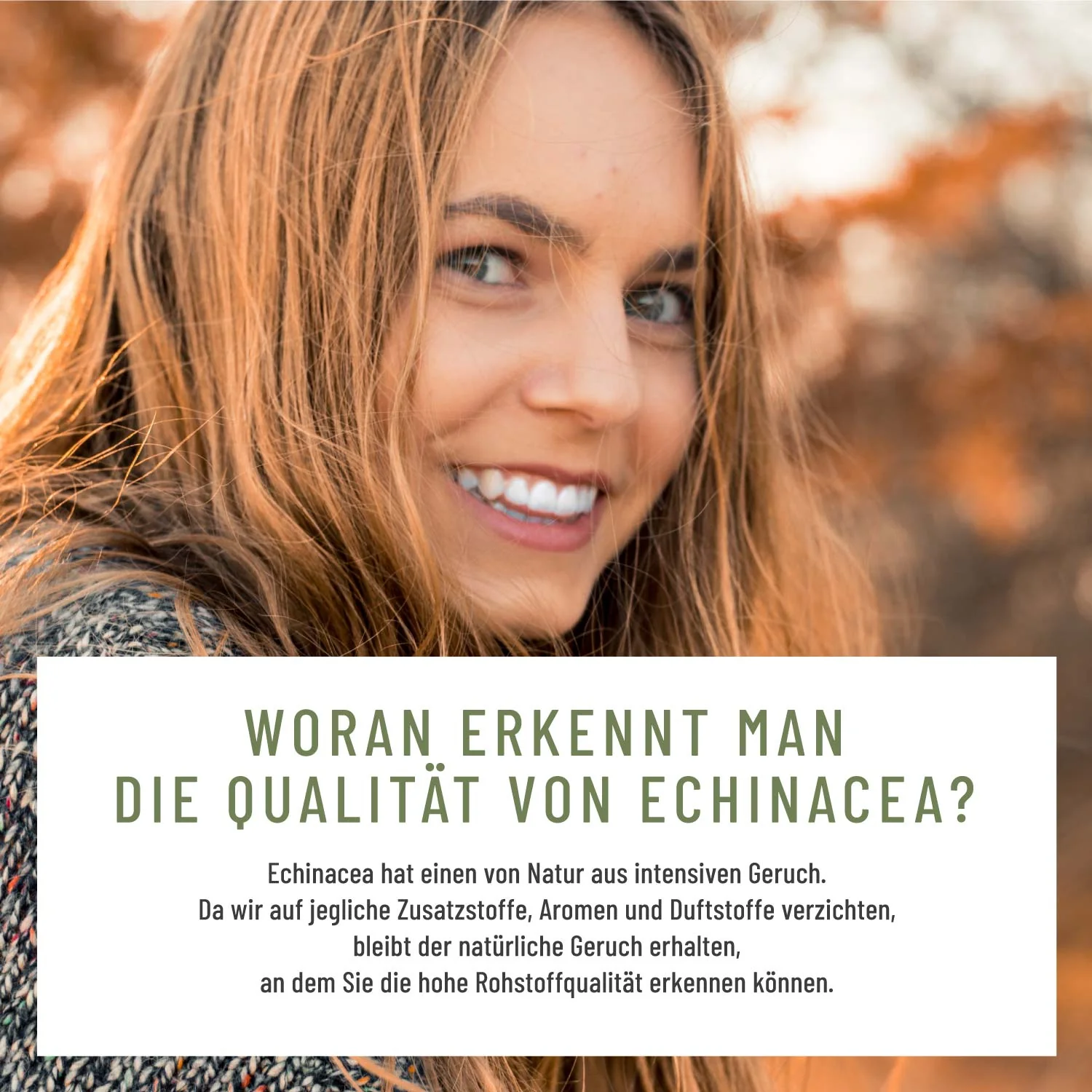 Schutzschild: Immun-Komplex mit Echinacea - Image 4