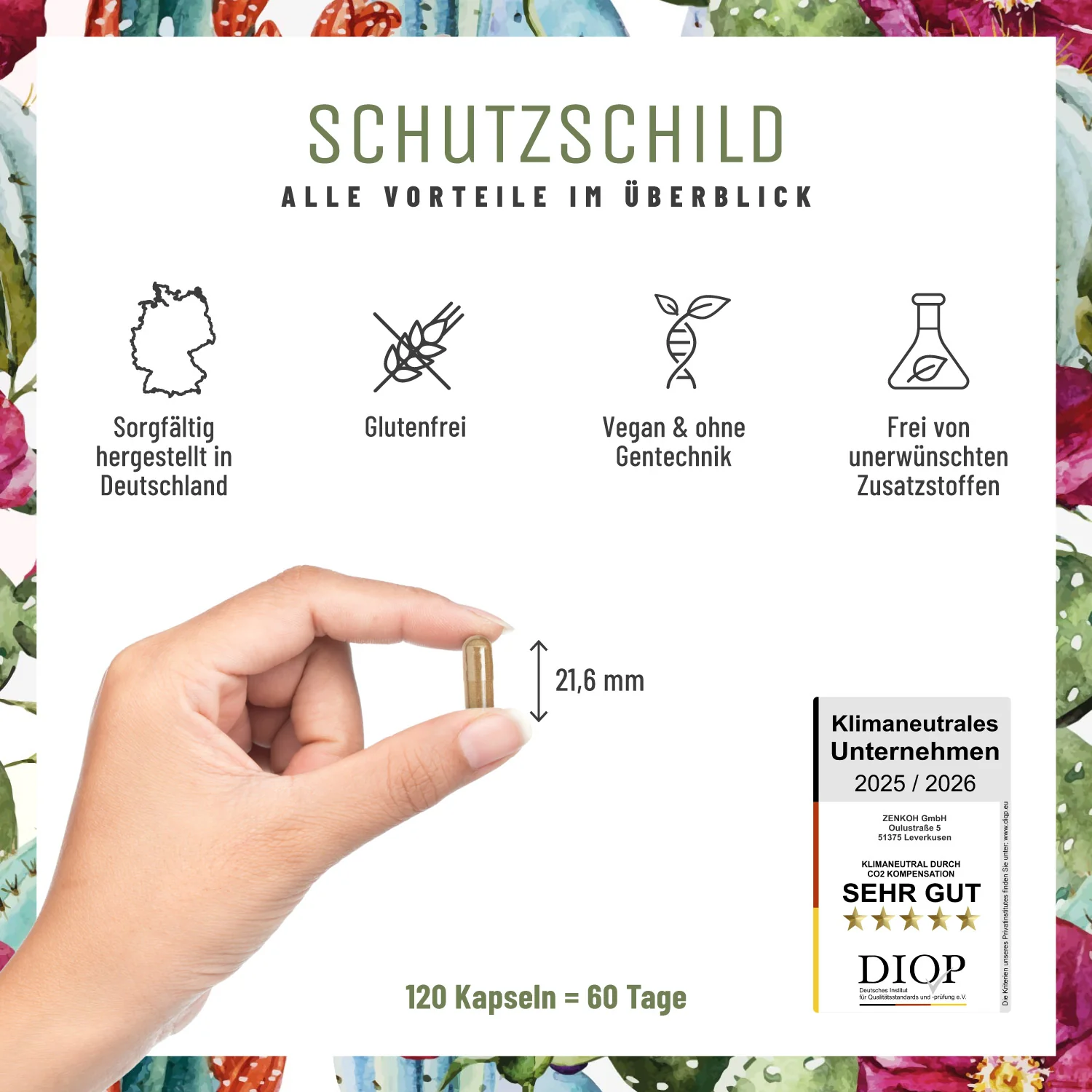 Schutzschild: Immun-Komplex mit Echinacea - Image 6