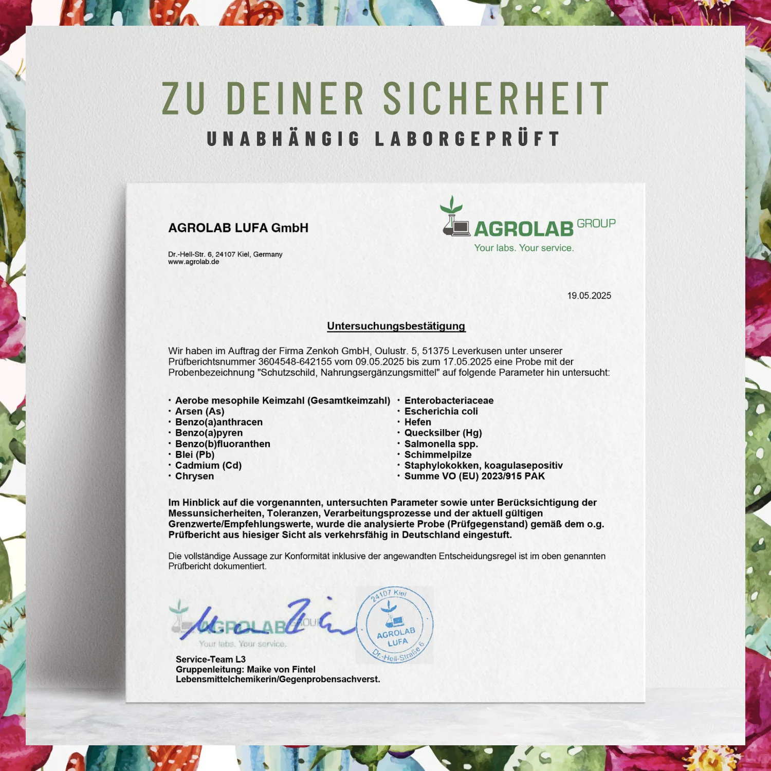 Schutzschild: Immun-Komplex mit Echinacea - Image 8