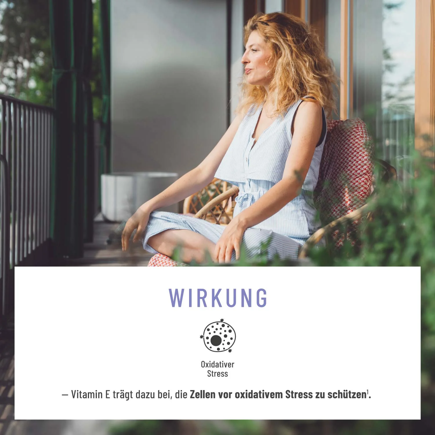 Schwarzkümmel: Schwarzkümmelöl aus Syrien - Image 4