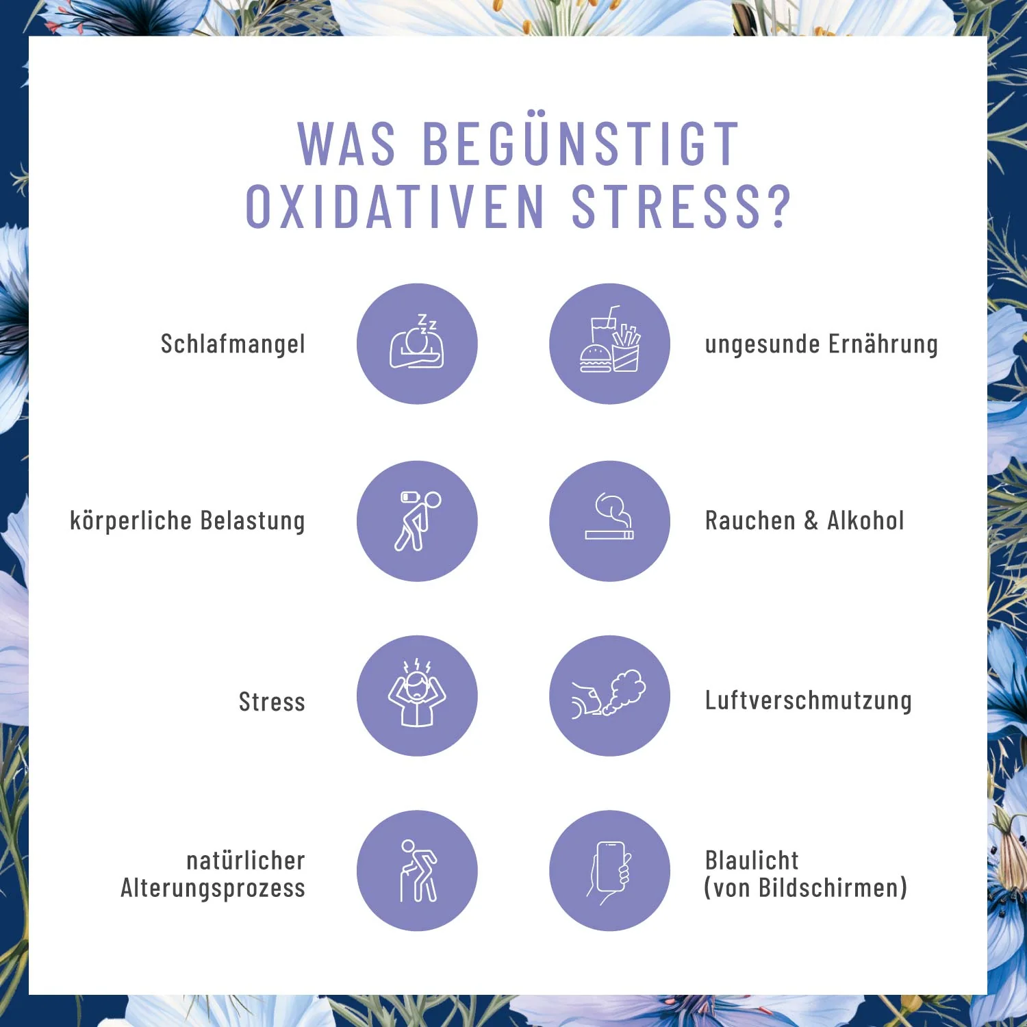 Schwarzkümmel: Schwarzkümmelöl aus Syrien - Image 7