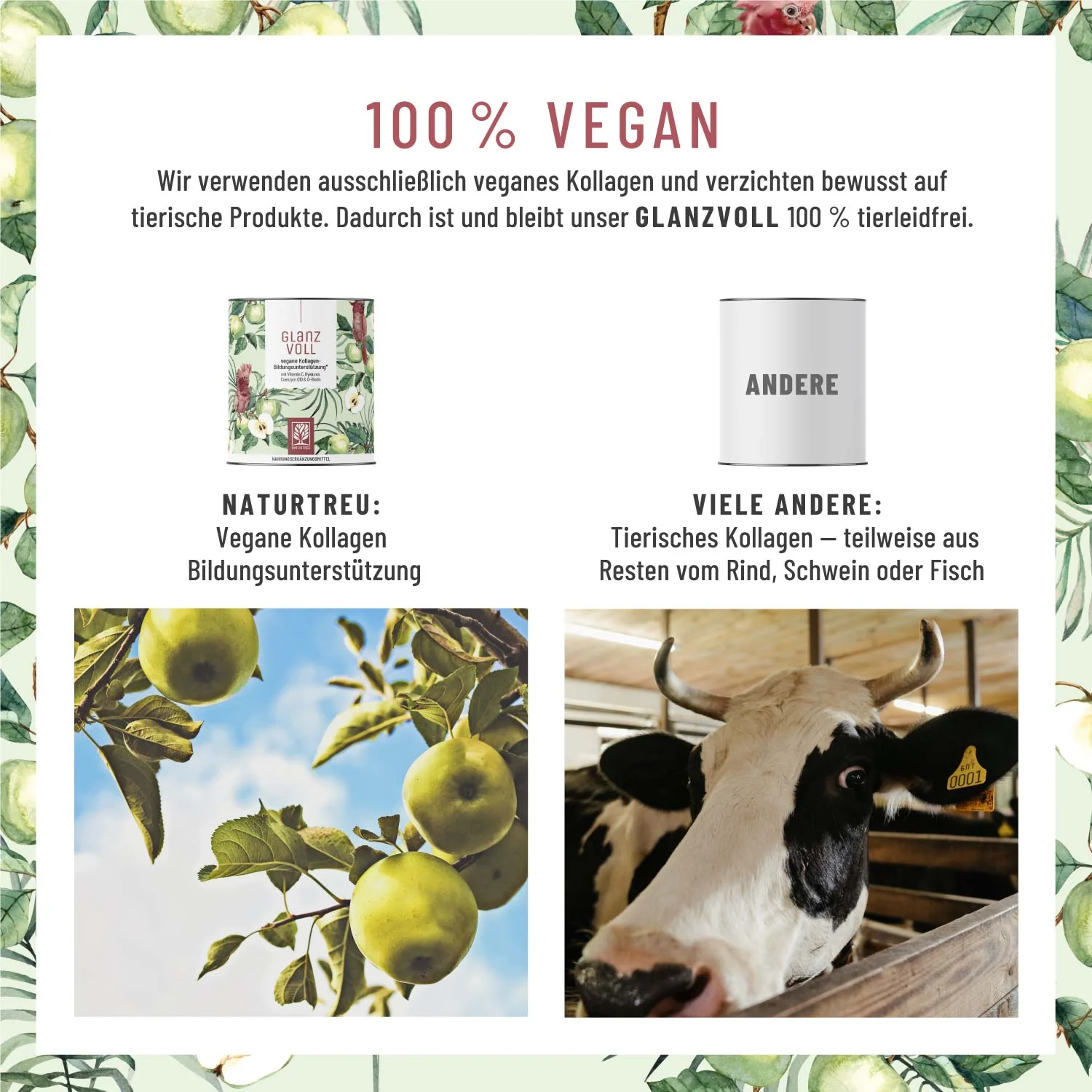 Glanzvoll: Vegane Kollagen-Bildungsunterstützung* mit Vitamin C, Hyaluron, Q10 & D-Biotin - Image 7